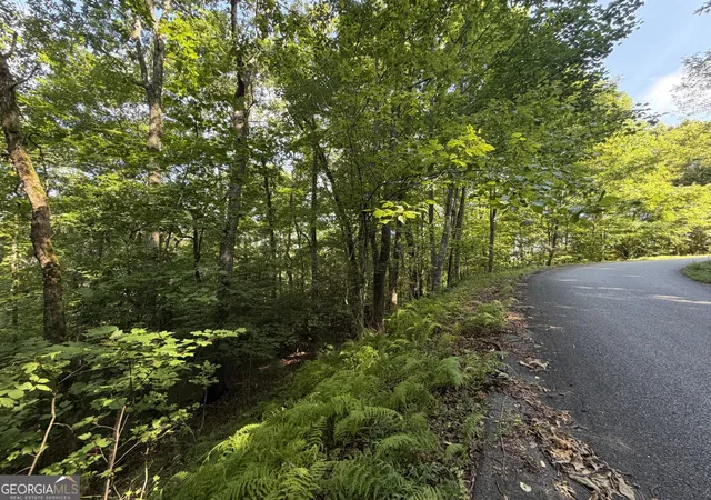 Photo 1 of Land for sale at Lot 5 Ml Ridge Rd, Hiawassee, GA 30546 | MLS# 10819557 | Listing updated on 2026-08-31