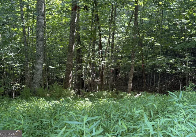 Photo 3 of Land for sale at Lot 5 Ml Ridge Rd, Hiawassee, GA 30546 | MLS# 10819557 | Listing updated on 2026-08-31