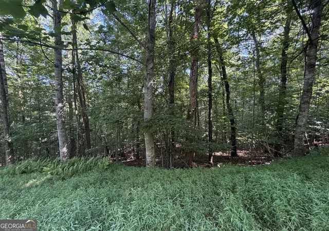 Photo 4 of Land for sale at Lot 5 Ml Ridge Rd, Hiawassee, GA 30546 | MLS# 10819557 | Listing updated on 2026-08-31
