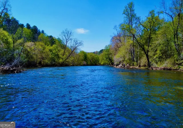 1st image of 00 Toccoa River Forest, Mineral Bluff, GA 30559 | MLS# 10732179