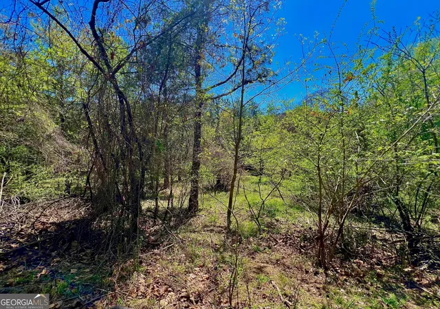 29th image of 00 Toccoa River Forest, Mineral Bluff, GA 30559 | MLS# 10732179
