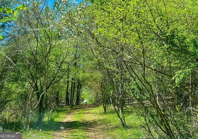2nd image of 00 Toccoa River Forest, Mineral Bluff, GA 30559 | MLS# 10732179