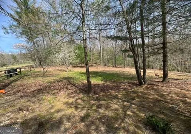 14th image of 22 & 26 A O Ln, Morganton, GA 30560 | MLS# 10812227