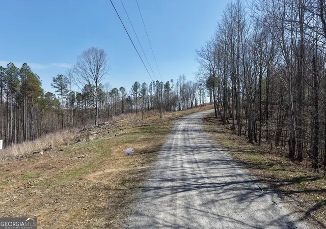 Homes for sale in Fairmount, GA | 0 Angel Rd #7206 PARCEL F, Fairmount, GA 30139 | MLS# 10701451