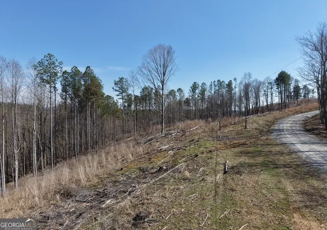 Homes for sale in Fairmount, GA | 0 Angel Rd #7206 PARCEL F, Fairmount, GA 30139 | MLS# 10701451