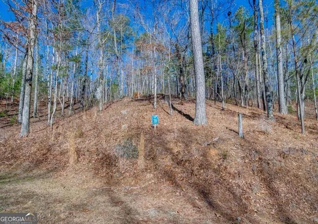 Photo 2 of Land for sale at 39 Harris Crk Dr, Ellijay, GA 30540 | MLS# 10881254 | Listing updated on 2026-10-29
