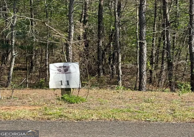 Photo 1 of Land for sale at 0 Eastview Trl, Ellijay, GA 30536 | MLS# 10505790 | Listing updated on 2026-03-19
