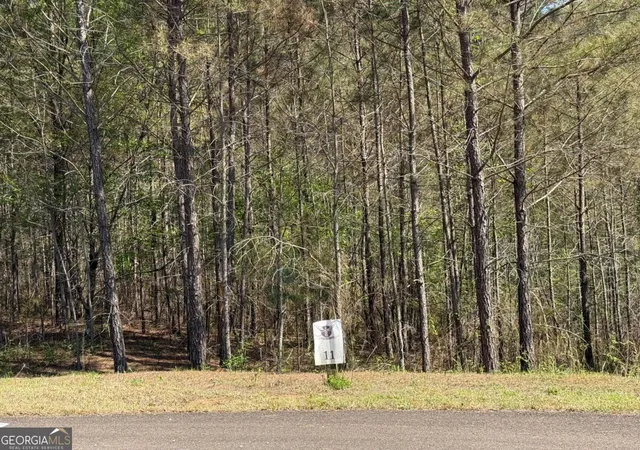 Photo 2 of Land for sale at 0 Eastview Trl, Ellijay, GA 30536 | MLS# 10505790 | Listing updated on 2026-03-19