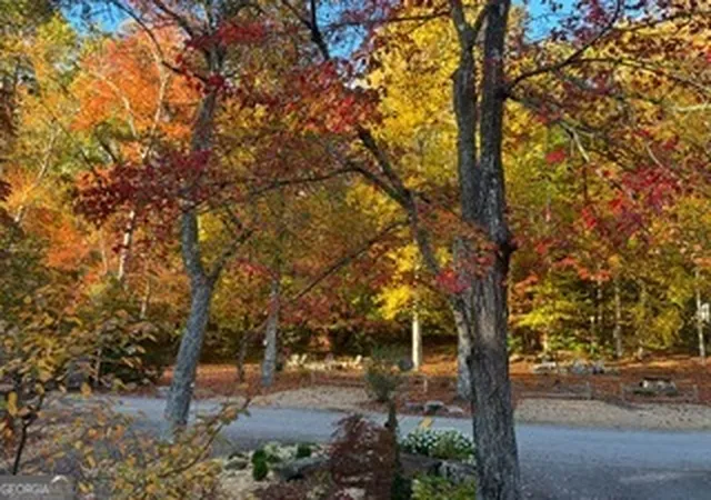 54th image of 4960 Laurel Lodge Rd #LOT 10, Clarkesville, GA 30523 | MLS# 10813936