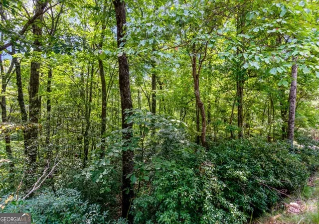 Homes for sale in Ellijay, GA | 469 Ac Rockwater Rd, Ellijay, GA 30536 | MLS# 10688932