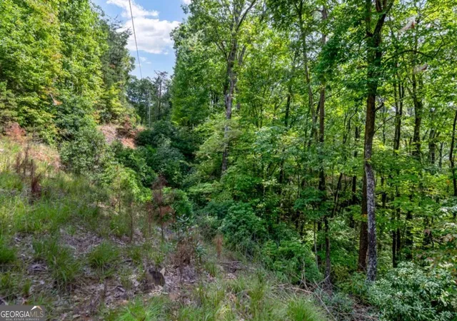 Homes for sale in Ellijay, GA | 469 Ac Rockwater Rd, Ellijay, GA 30536 | MLS# 10688932