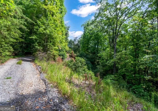 Homes for sale in Ellijay, GA | 469 Ac Rockwater Rd, Ellijay, GA 30536 | MLS# 10688932