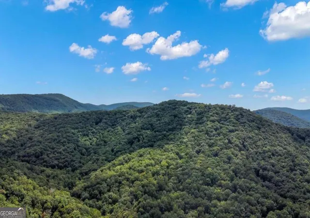 Homes for sale in Ellijay, GA | 469 Ac Rockwater Rd, Ellijay, GA 30536 | MLS# 10688932