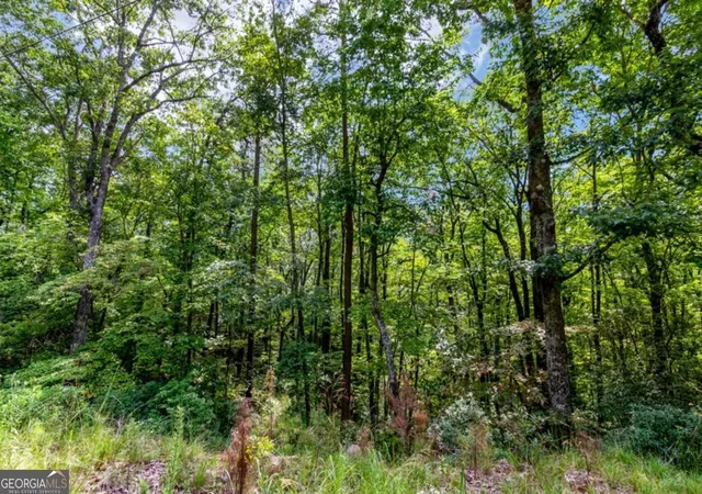 Homes for sale in Ellijay, GA | 469 Ac Rockwater Rd, Ellijay, GA 30536 | MLS# 10688932