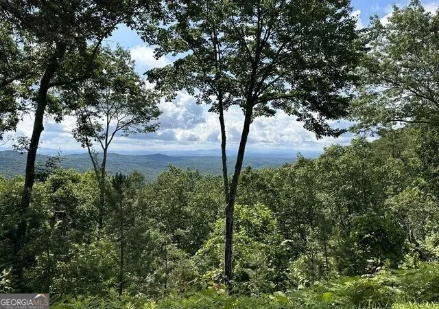 1st image of Lot 46 Utana Bluffs Trl, Ellijay, GA 30540 | MLS# 10829723