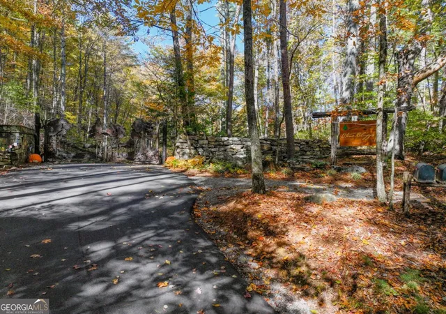 2nd image of Lot 46 Utana Bluffs Trl, Ellijay, GA 30540 | MLS# 10829723