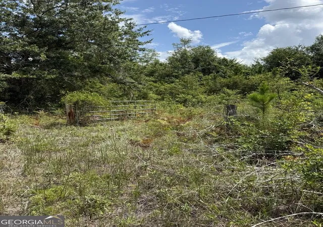 19th image of 896 Farm Rd, St. George, GA 31562 | MLS# 10822434