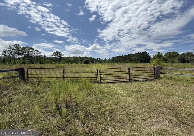5th image of 896 Farm Rd, St. George, GA 31562 | MLS# 10822434