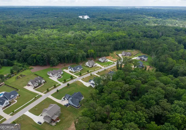56th image of 117 Brinley Dr, Sharpsburg, GA 30277 | MLS# 10792816