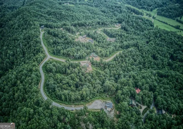 2nd image of Lot 49 Mountain Laurel Rdg, Mineral Bluff, GA 30559 | MLS# 10822445