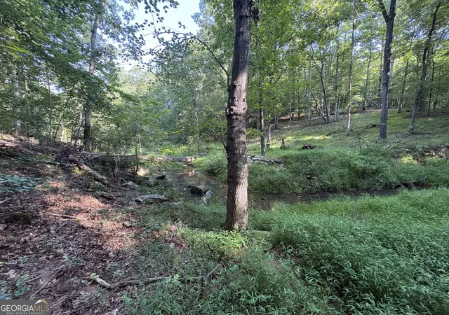 Photo 23 of Land for sale at 0 River Bend Ct, Villa Rica, GA 30180 | MLS# 10833729 | Listing updated on 2026-09-01