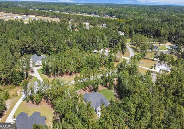 43rd image of 149 Windmill Plantation Dr, Statesboro, GA 30461 | MLS# 10792591