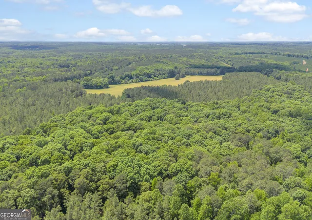 4th image of Lot D 0 Pitts Chapel Rd, Monticello, GA 31064 | MLS# 10766134