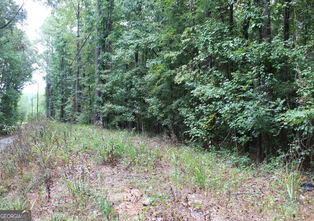 4th image of 441 N Deshong Rd, Stone Mountain, GA 30087 | MLS# 10733036