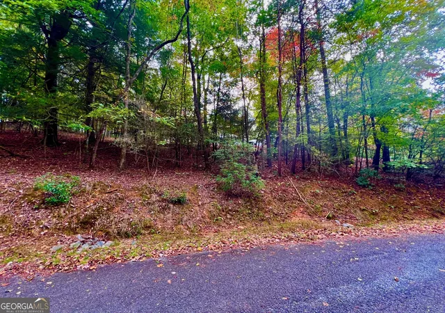 Photo 1 of Land for sale at 548 N Satsuma Ct, Ellijay, GA 30540 | MLS# 10402216 | Listing updated on 2026-04-30