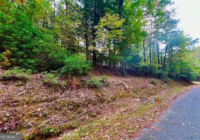 Photo 2 of Land for sale at 548 N Satsuma Ct, Ellijay, GA 30540 | MLS# 10402216 | Listing updated on 2026-04-30