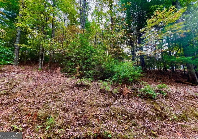Photo 3 of Land for sale at 548 N Satsuma Ct, Ellijay, GA 30540 | MLS# 10402216 | Listing updated on 2026-04-30