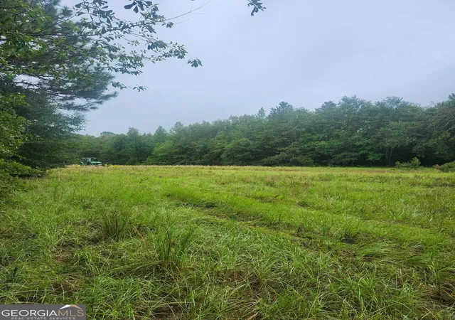 2nd image of 0 Lewis Station Rd, Sylvania, GA 30467 | MLS# 10815138