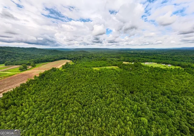 Homes for sale in Hayden, AL | 000 Double Pond Trail #TRACT 1, Hayden, AL 35079 | MLS# 10607627