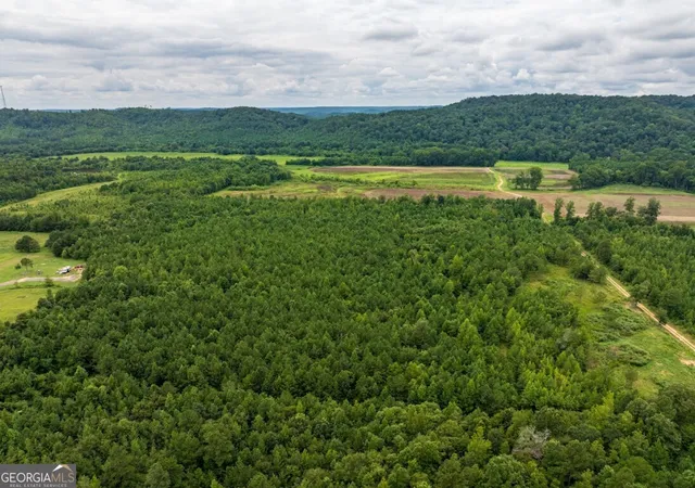 Homes for sale in Hayden, AL | 000 Double Pond Trail #TRACT 1, Hayden, AL 35079 | MLS# 10607627