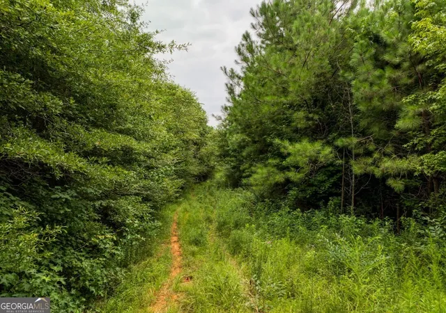 Homes for sale in Hayden, AL | 000 Double Pond Trail #TRACT 1, Hayden, AL 35079 | MLS# 10607627