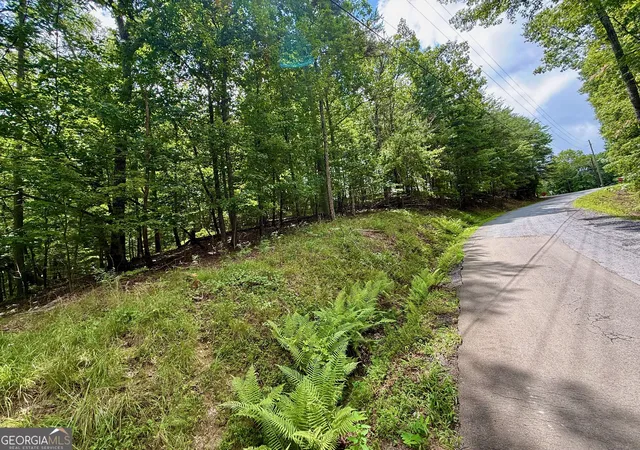 1st image of Lot 7 Stirratt Rd, Ranger, GA 30734 | MLS# 10821900