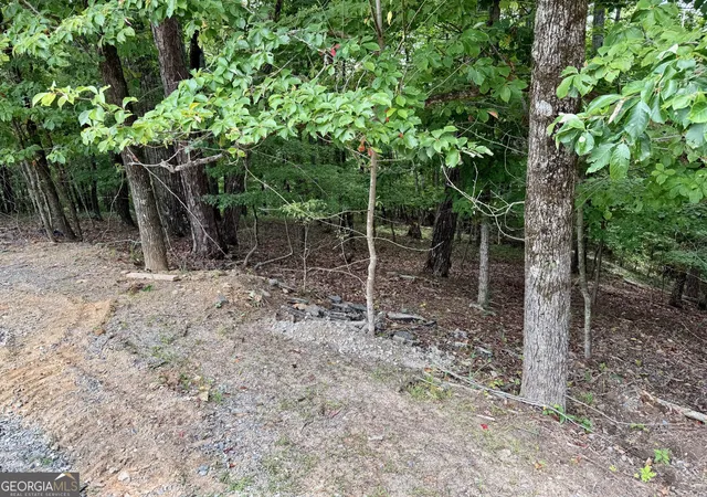 3rd image of Lot 7 Stirratt Rd, Ranger, GA 30734 | MLS# 10821900