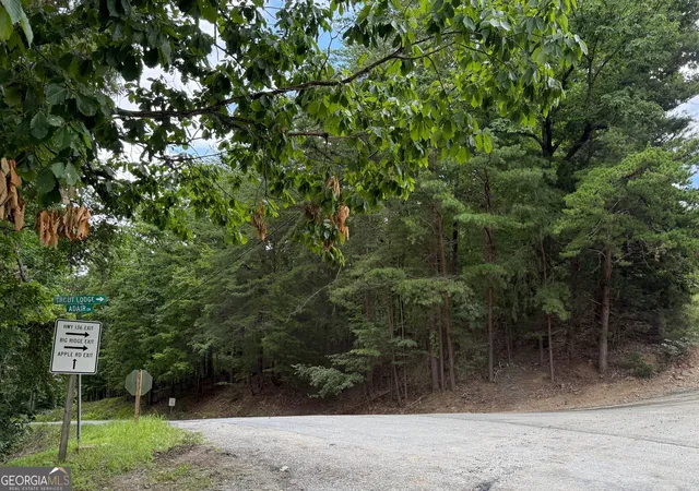 4th image of Lot 7 Stirratt Rd, Ranger, GA 30734 | MLS# 10821900