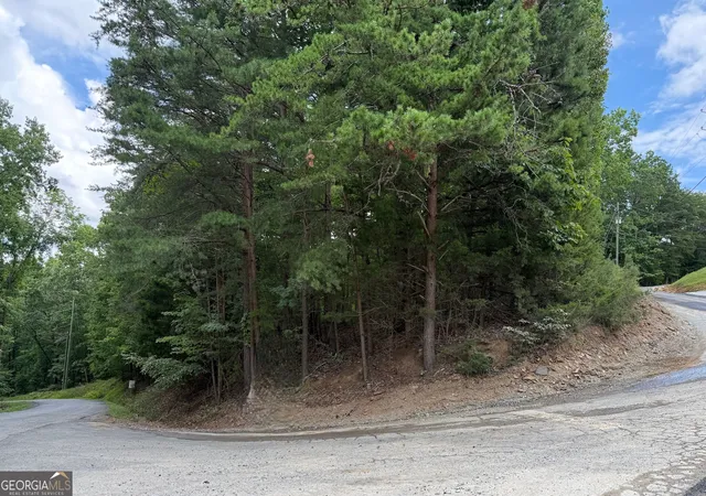 5th image of Lot 7 Stirratt Rd, Ranger, GA 30734 | MLS# 10821900