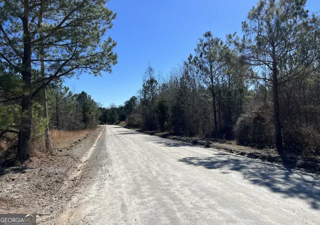 Photo 3 of Land for sale at 0 Old Rico Rd, Palmetto, GA 30268 | MLS# 10739968 | Listing updated on 2026-05-07