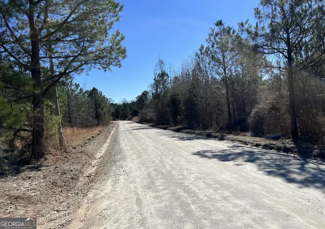 Photo 3 of House for sale at 0 Old Rico Rd, Palmetto, GA 30268 | MLS# 10739968 | Listing updated on 2026-05-07
