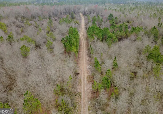 Photo 1 of Land for sale at 0 Whitaker, Waycross, GA 31503 | MLS# 10697054 | Listing updated on 2026-04-02