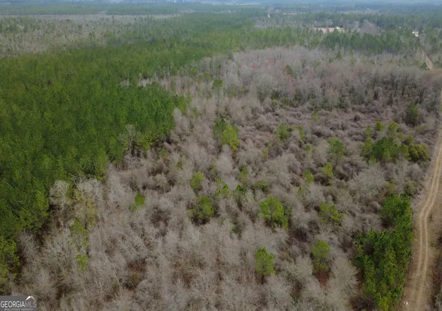 Photo 2 of Land for sale at 0 Whitaker, Waycross, GA 31503 | MLS# 10697054 | Listing updated on 2026-04-02