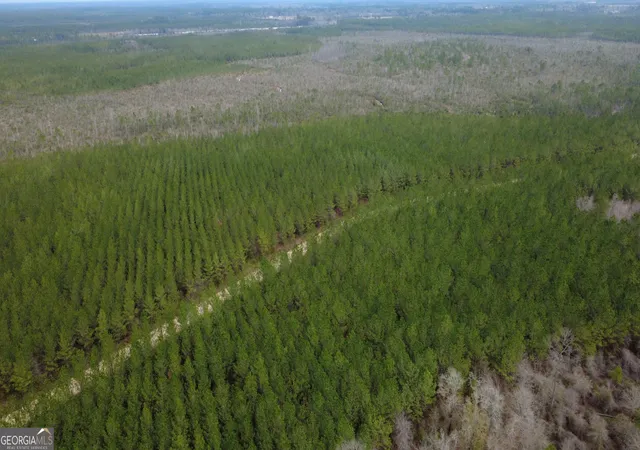 Photo 3 of Land for sale at 0 Whitaker, Waycross, GA 31503 | MLS# 10697054 | Listing updated on 2026-04-02