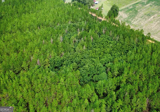 Photo 1 of Sale Pending at Tract 3 A L Reeves Rd, Fitzgerald, GA 31750 | MLS# 10836399 | Listing updated on 2026-09-18