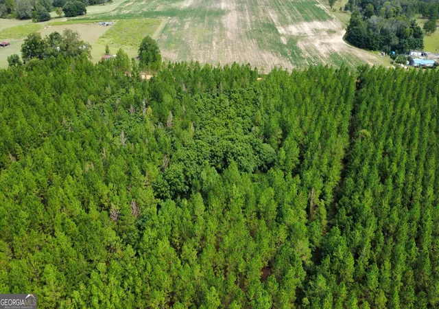 Photo 2 of Sale Pending at Tract 3 A L Reeves Rd, Fitzgerald, GA 31750 | MLS# 10836399 | Listing updated on 2026-09-18