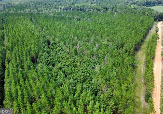 Photo 3 of Sale Pending at Tract 3 A L Reeves Rd, Fitzgerald, GA 31750 | MLS# 10836399 | Listing updated on 2026-09-18