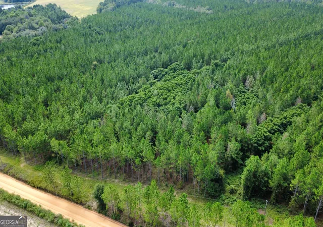 Photo 3 of Sale Pending at Tract 3 A L Reeves Rd, Fitzgerald, GA 31750 | MLS# 10836399 | Listing updated on 2026-09-18