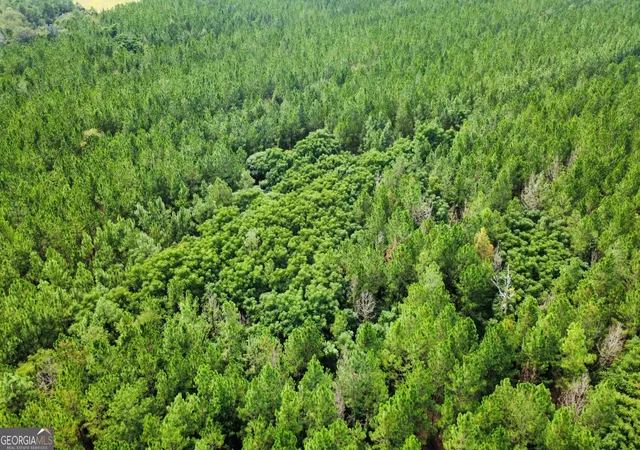 Photo 4 of Sale Pending at Tract 3 A L Reeves Rd, Fitzgerald, GA 31750 | MLS# 10836399 | Listing updated on 2026-09-18