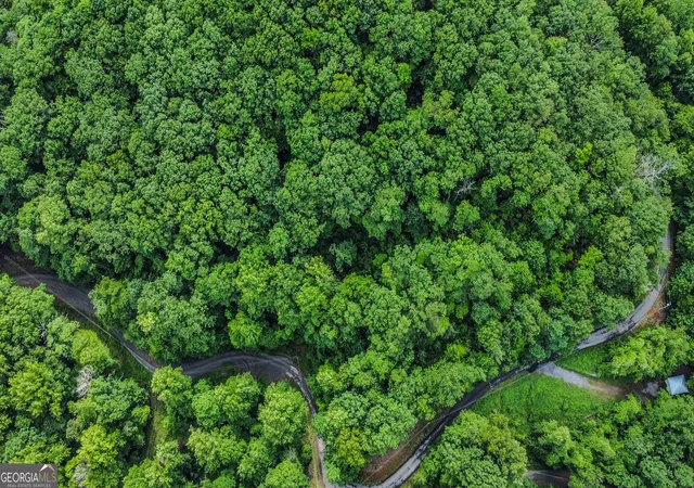Photo 4 of Land for sale at 558 Gobbler Knob Dr, Ellijay, GA 30540 | MLS# 10775690 | Listing updated on 2026-09-24